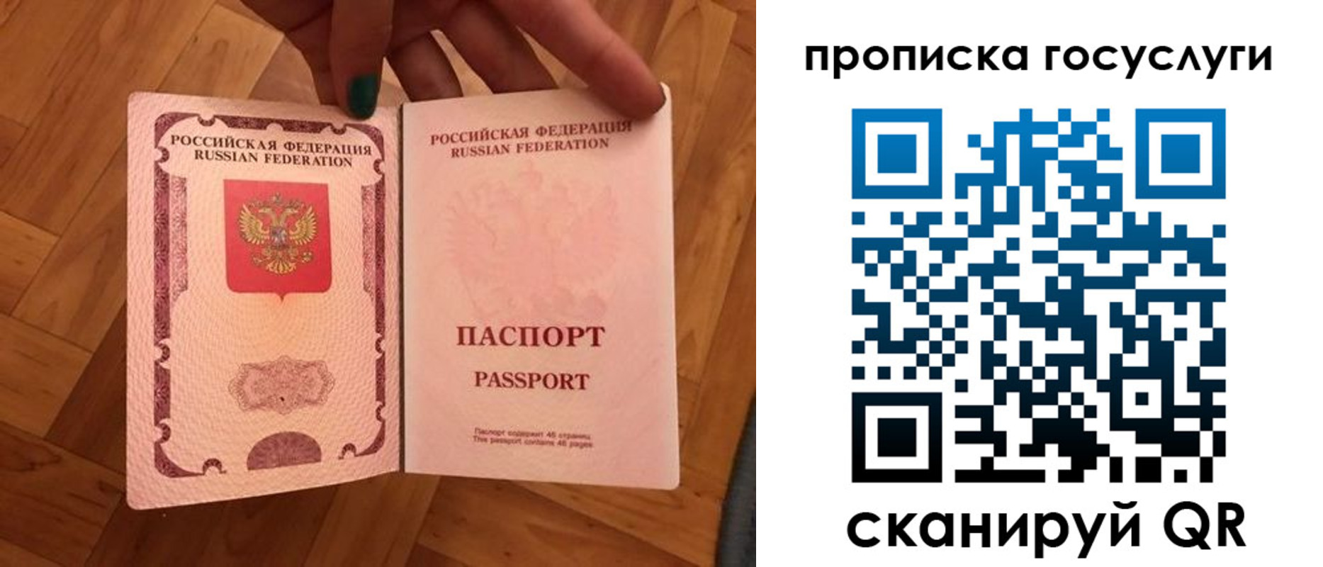 прописка в Коле