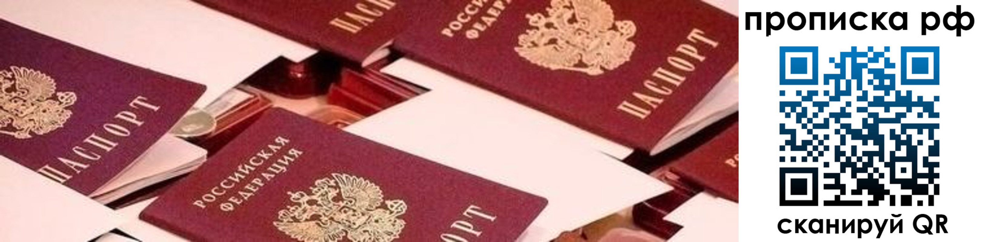купить прописку в Коле